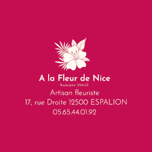 logo a la fleur de Nice