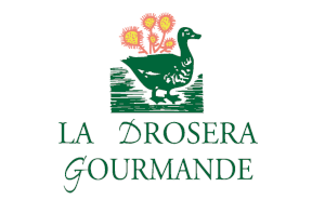 logo-la-drosera-gourmande (1)